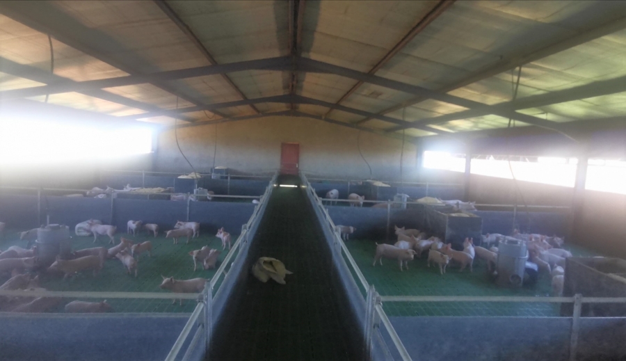 Commercial Property for Sale in Dealesville Free State